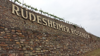 Weinberge Nierderwalddenkmal Seilbahn Assmannshausen Rüdesheim am Rhein