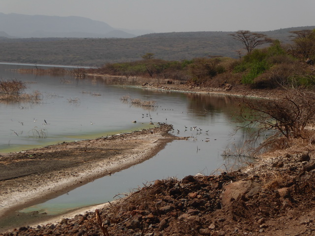   Lake Bogoria   Kenia    Bogoria Lake  Kenia   