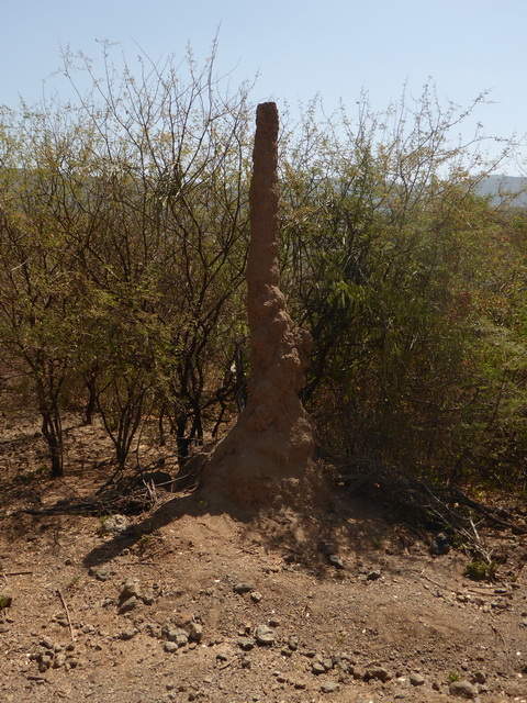   Lake Bogoria   Kenia    Bogoria Lake  Kenia   