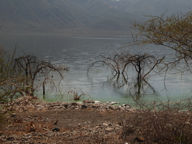 Lake Bogoria   Kenia    Bogoria Lake Kenia   