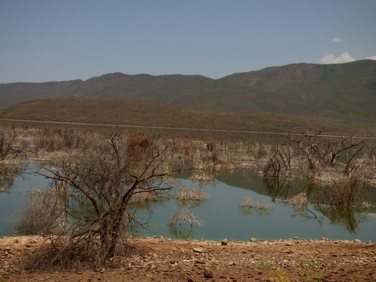   Lake Bogoria   Kenia   Hot Springs  Bogoria Lake Kenia   Lake Bogoria   Kenia   Hot Springs 