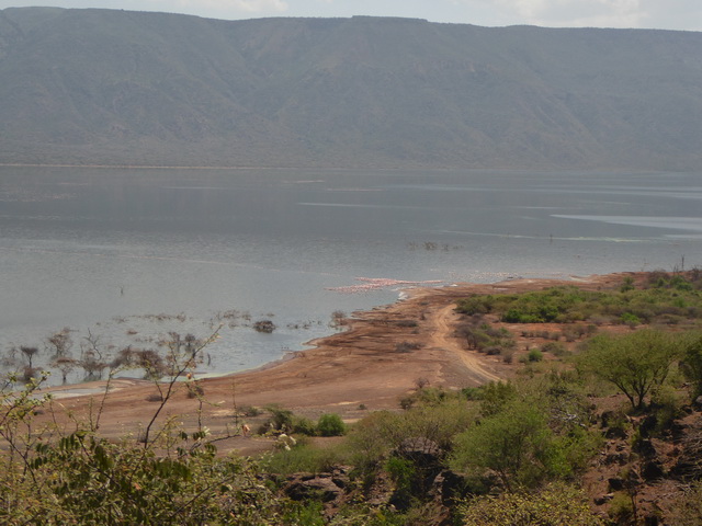 Lake Bogoria   Kenia    Bogoria Lake Kenia   