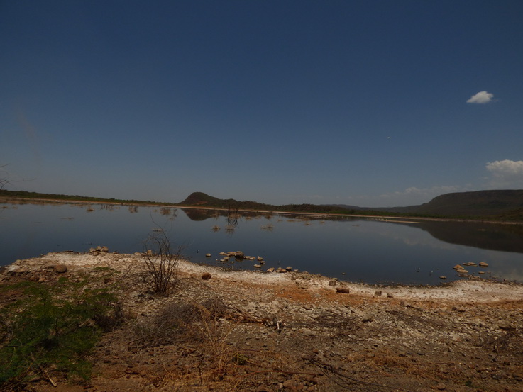   Lake Bogoria   Kenia   Hot Springs  Bogoria Lake Kenia   Lake Bogoria   Kenia   Hot Springs 