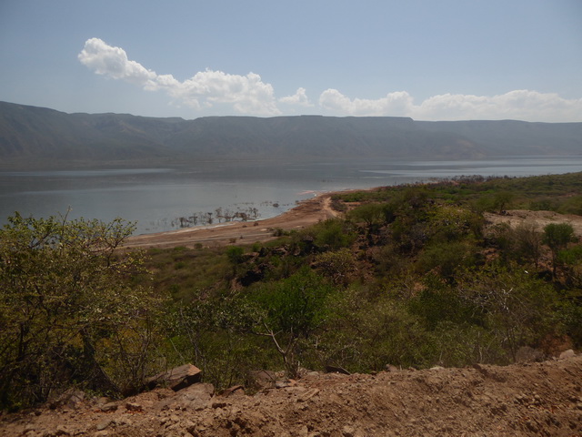 Lake Bogoria   Kenia    Bogoria Lake Kenia   