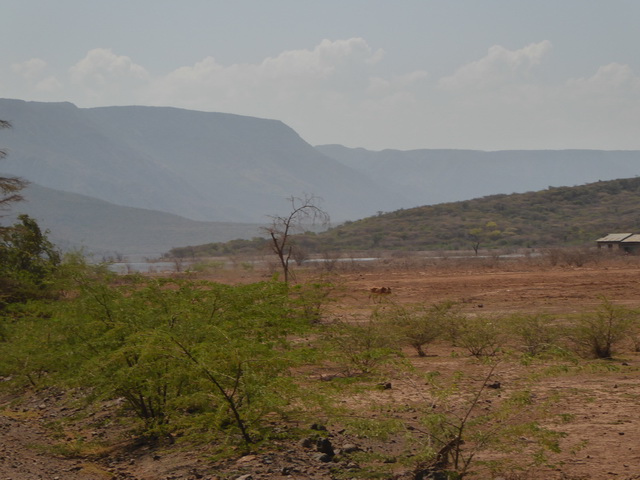   Lake Bogoria   Kenia    Bogoria Lake  Kenia   