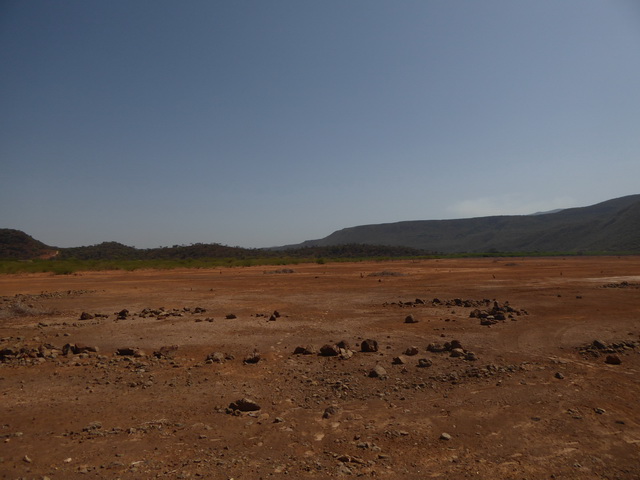   Lake Bogoria   Kenia    Bogoria Lake  Kenia   