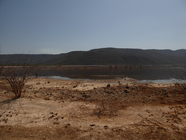   Lake Bogoria   Kenia    Bogoria Lake  Kenia   