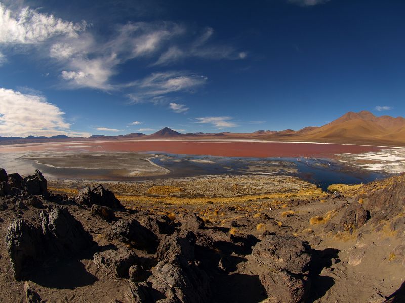 Laguna Colorada Laguna campina Bolivien Uyuni 4x4 Salzsee Saltlake  Laguna Pasto Grande Siloli Wüste