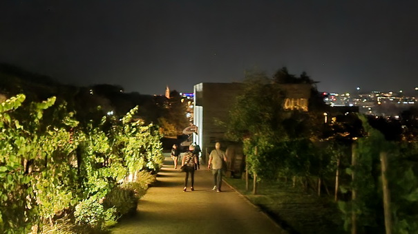   Würzburg  weingut am stein   Würzburg der reiser Abendstimmung über Würzburg 