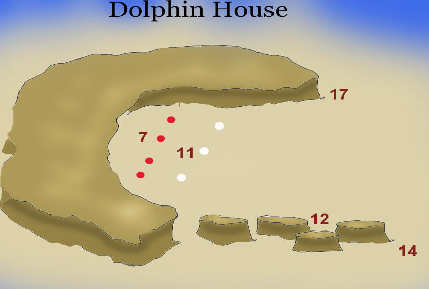 dolphin_house