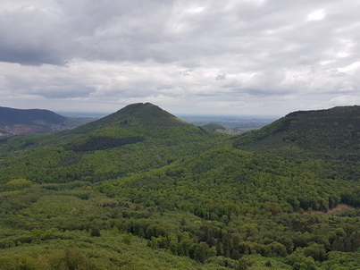   Pfalz Neustadt an der Weinstrasse Annweiler  Burg Trifels Pfalz Neustadt an der Weinstrasse   Burg Trifels  Annweiler   Pfalz Neustadt an der Weinstrasse Annweiler  Burg Trifels Pfalz Neustadt an der Weinstrasse   Burg Trifels  Annweiler 