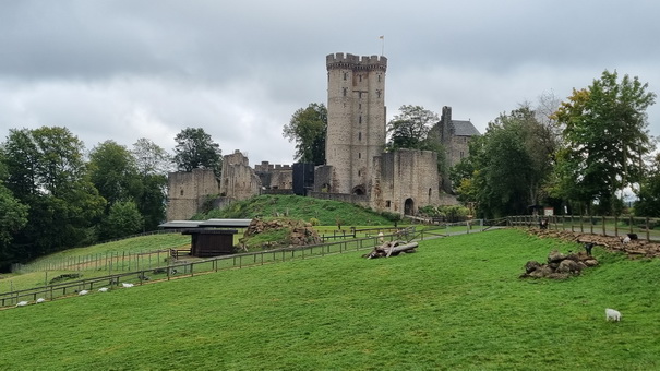 Adler- und Wolfspark Kasselburg Gerolstein