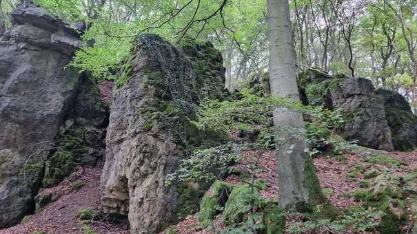 Buchenlochhöhle