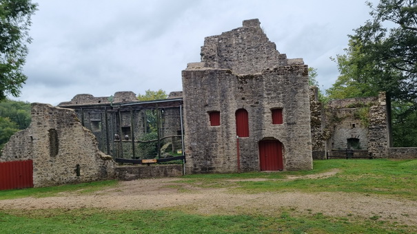 KasselburgGerolstein Adlervolieren 