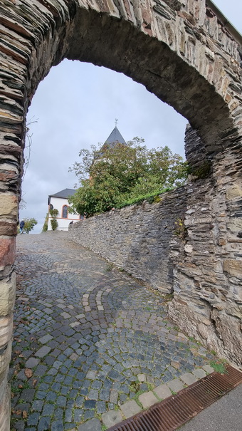   Mosel Marienburg (Mosel) Pünderich Weinberge Mosel Marienburg 