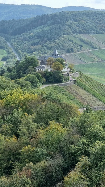   Mosel Marienburg (Mosel) Pünderich Weinberge Mosel Marienburg 