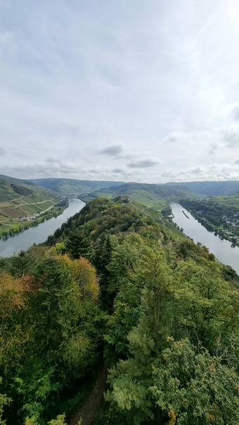   Mosel Marienburg (Mosel) Pünderich Weinberge Mosel Marienburg 