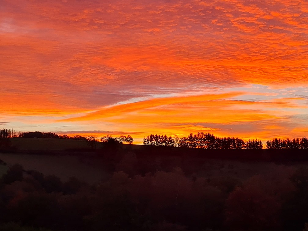 Goldener Oktobermorgen  2021 im Revier Belmicke 