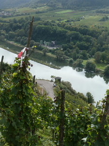 (Mosel) Pünderich