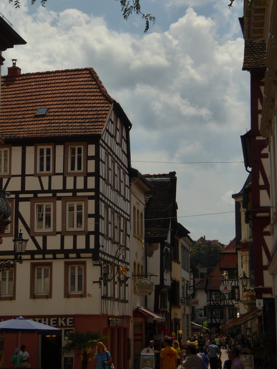 Pfalz Neustadt an der Weinstrasse 