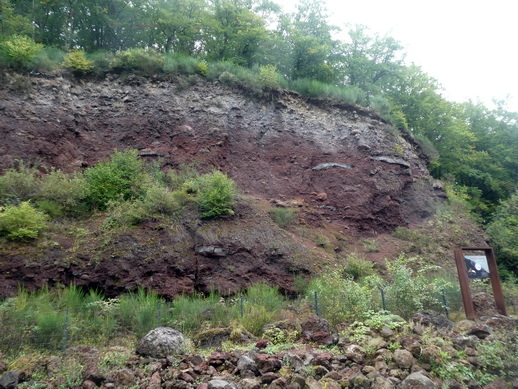 Steinbruchwand Wartgesberg 