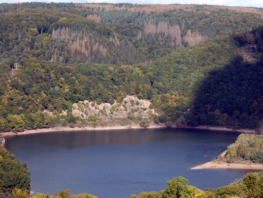 Vogelsang Eifel Urfttalsperre auf dem Berg Erpenscheid 100 ha  