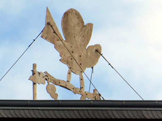 Vogelsang Eifel Urfttalsperre auf dem Berg Erpenscheid 100 ha  