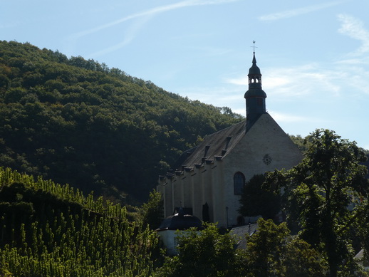 Eifel Mosel AlF nach Cochem 