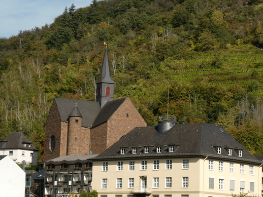 Eifel Mosel AlF nach Cochem 