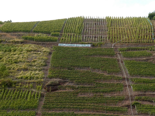 Eifel Mosel AlF nach Cochem 