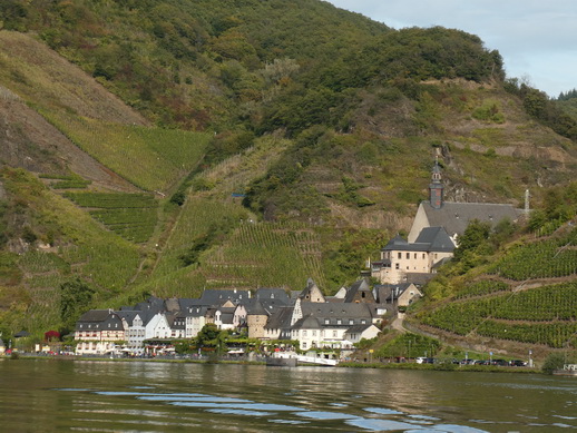 Eifel Mosel AlF nach Cochem 