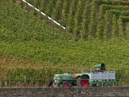 Eifel Mosel AlF nach Cochem Eifel Mosel AlF nach Cochem   