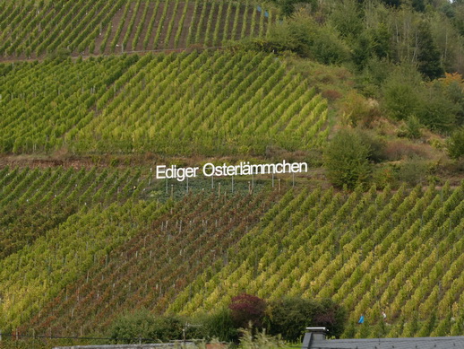 Eifel Mosel AlF nach Cochem Eifel Mosel AlF nach Cochem   