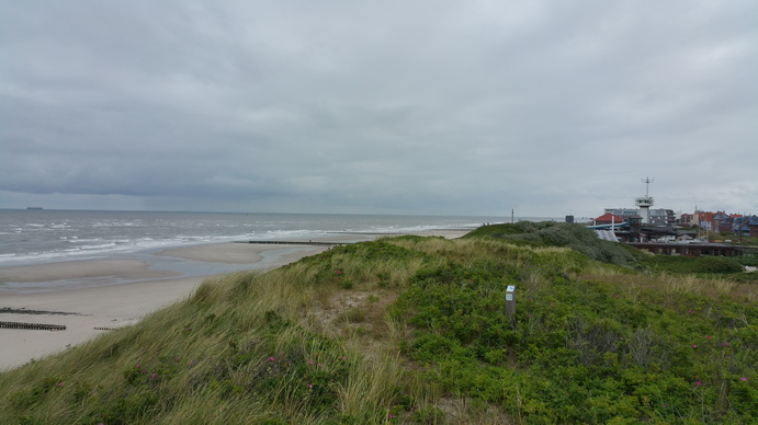   Wangerooge Dünen  Dünen auf  Wangerooge  wangerooge.de