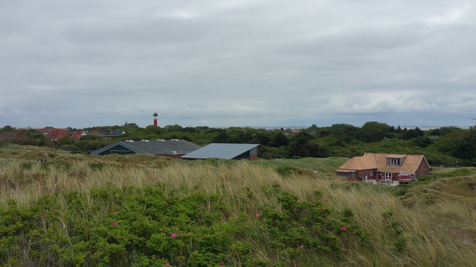   Wangerooge Dünen  Dünen auf  Wangerooge  wangerooge.de