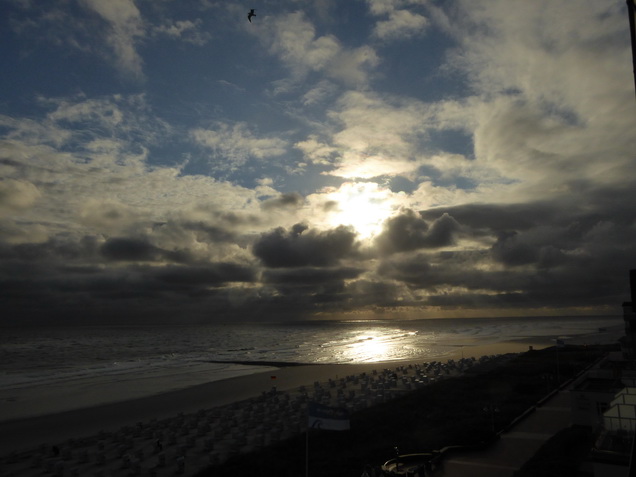   Wangerooge Dünen  Dünen auf  Wangerooge  wangerooge.de