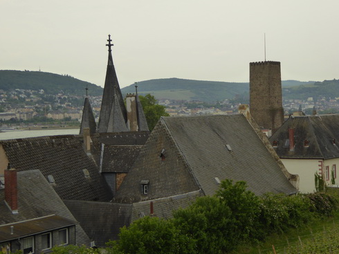 Weinberge Nierderwalddenkmal Seilbahn Assmannshausen Rüdesheim am RheinWeinberge Nierderwalddenkmal Seilbahn Assmannshausen Rüdesheim am Rhein