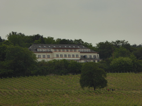 Weinberge Nierderwalddenkmal Seilbahn Assmannshausen Rüdesheim am RheinWeinberge Nierderwalddenkmal Seilbahn Assmannshausen Rüdesheim am Rhein