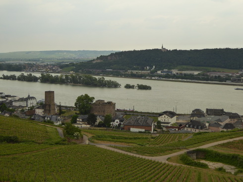 Weinberge Nierderwalddenkmal Seilbahn Assmannshausen Rüdesheim am Rhein