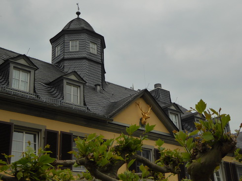 haselmaus am Baumstriezel jagdschloss Weinberge Nierderwalddenkmal Seilbahn Assmannshausen Rüdesheim am Rhein