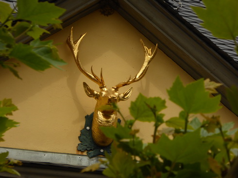  jagdschloss Niederwald goldener Hirsch