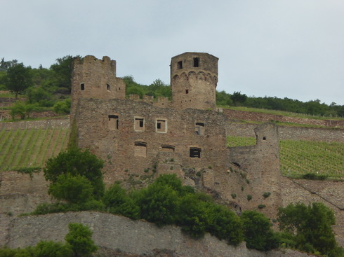 Mit dem Schiff Stolzenfels von Braubach nach  Rüdesheim   Assmannshausen mit seilbahn 