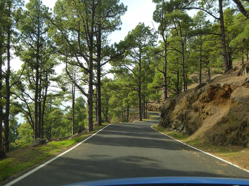 El Julan Pinienstrasse Strasse an der Südküste oben ab Berg geschätzte 1200 Kurven 