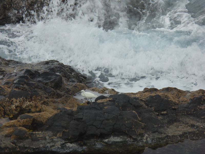 Charco Azul der blaue Teich Naturschwimmecken + ist eine von Fels gesichertes Badebecken