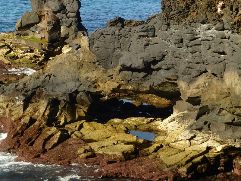 Las Palmas Gran Canaria El Confital Küstenwanderung 