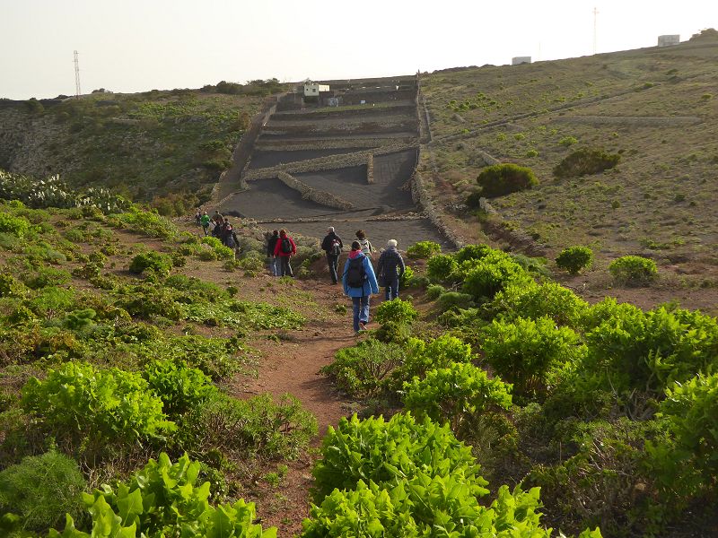 Lanzarote Wanderung nach Haria Tal der Tausend Palmen 