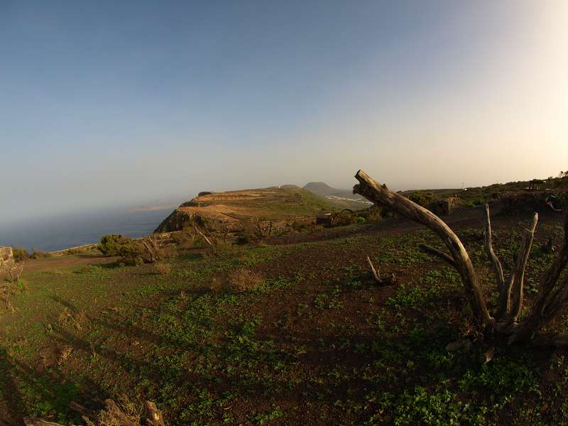 Lanzarote Wanderung nach Haria Tal der Tausend Palmen  Mirador Famara