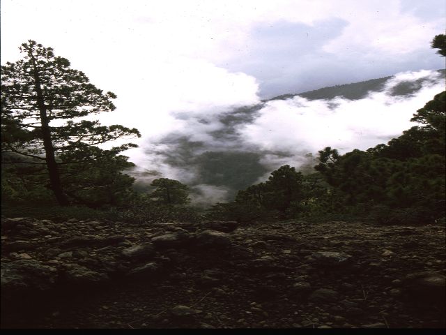 La Palma   La Palma   Vulkanwandern  Caldeira de TaburienteLa Palma  La Palma   La Palma  Vulkanwandern  Caldeira de TaburienteLa Palma bizarre Vulkanlandschaften  Vulkanwandern  Caldeira de Taburiente