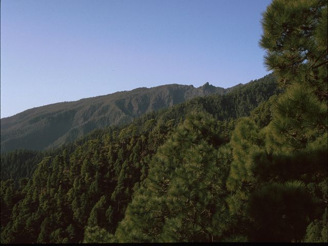 La Palma  La Palma   La Palma  Vulkanwandern  Caldeira de Taburiente