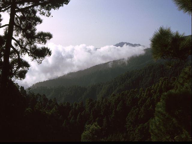 La Palma  La Palma   La Palma  Vulkanwandern  Caldeira de Taburiente